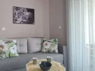 Rent, studio apartment, 34m², Golubovina, Budva - image 3