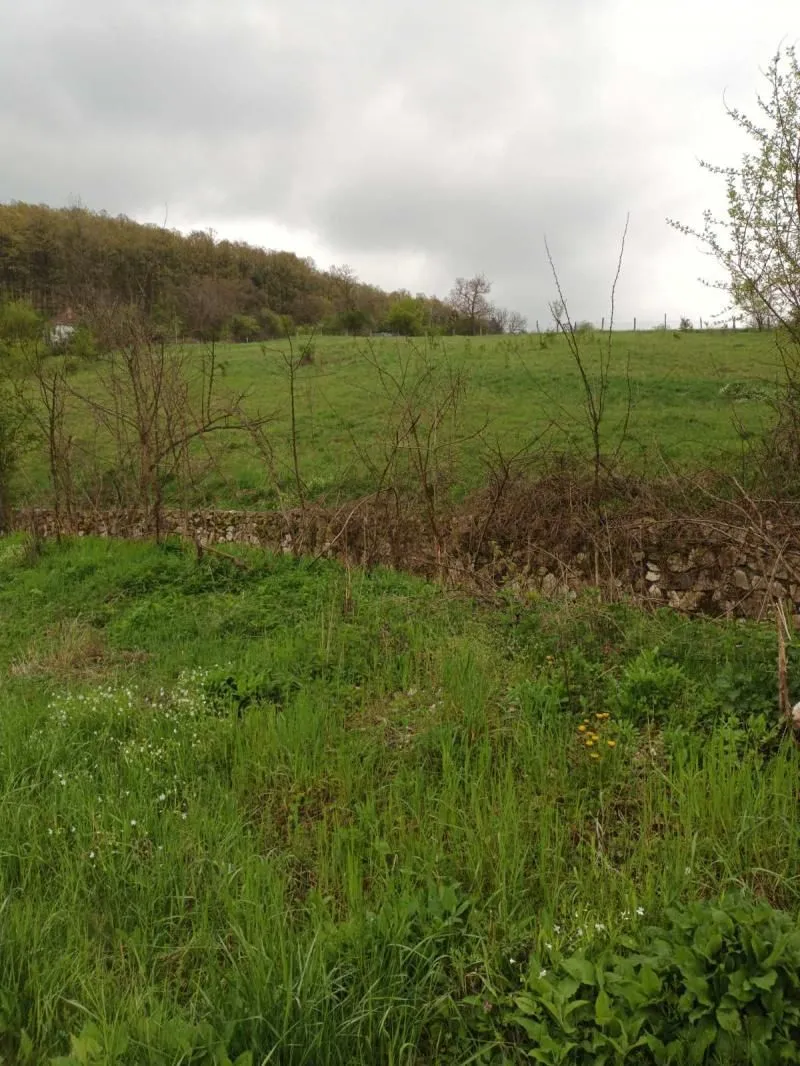 Prodaja, plac, 4700m², Babe, Sopot