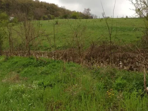 Sale, land lot, 4700m², Babe, Sopot - image 8