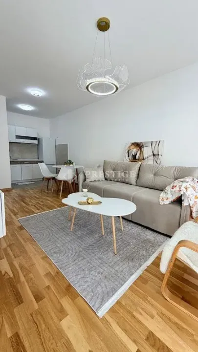 Rent, one bedroom apartment, 42m², Zagorič, Podgorica