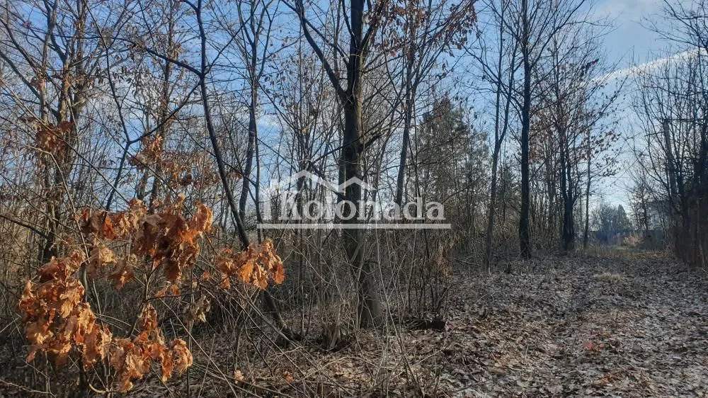 Prodaja, plac, 3000m², Babe, Sopot