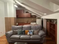 Izdavanje, jednosoban stan, 56m², Stari Aerodrom, Podgorica - image 2