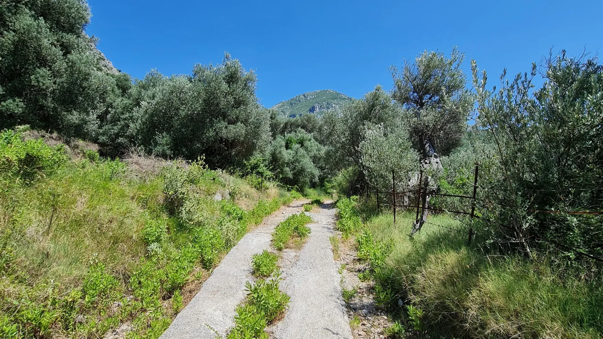 Prodaja, plac, 10000m², Stari Bar, Bar