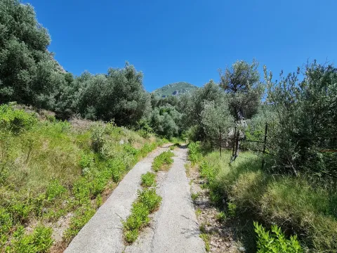 Sale, land lot, 10000m², Stari Bar, Bar - image 3