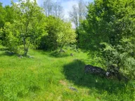 Sale, land lot, 160000m², Bršno, Nikšić - image 12