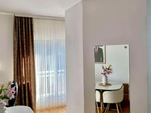 Prodaja, jednosoban stan, 35m², Ljubović, Podgorica - image 6