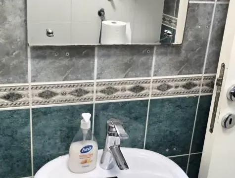 Izdavanje, garsonjera, 30m², Sajmište, Novi Sad - image 11