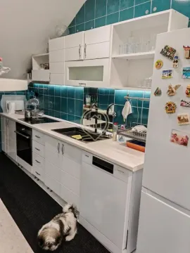 White kitchen with turquoise tiles and built-in appliances. - image 13