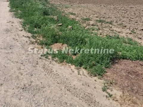 Prodaja, plac, 738m², Futog, Novi Sad Sve Podlokacije - image 4