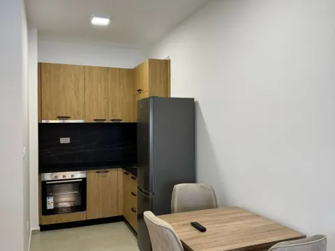 Rent, one bedroom apartment, 43m², Stari Aerodrom, Podgorica - image 2