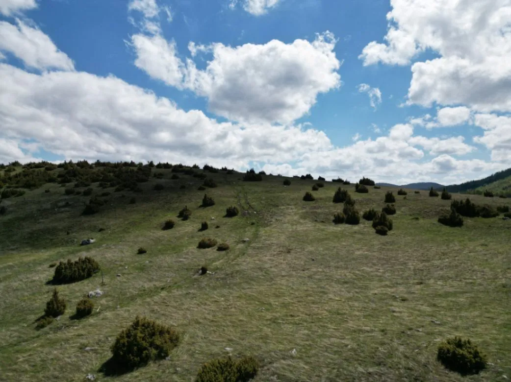 Prodaja, plac, 548m², Tepačko polje, Žabljak