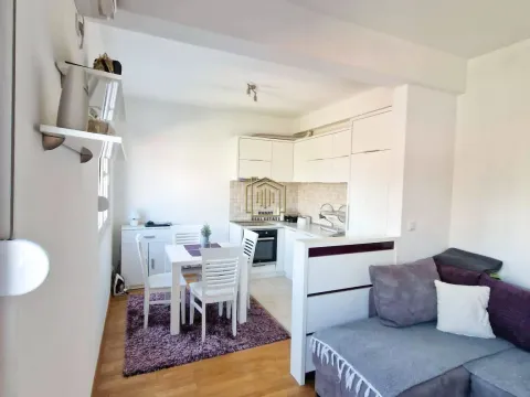 Rent, one bedroom apartment, 45m², Stari Aerodrom, Podgorica - image 8