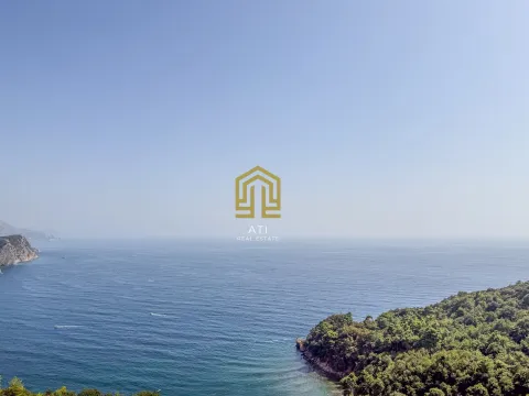 Pogled na more sa zelenom obalom. - image 20