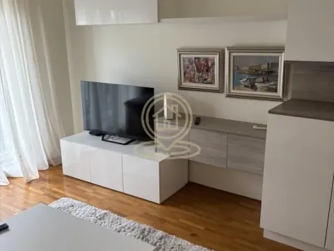 Izdavanje, dvosoban stan, 55m², Voždovac Sve Podlokacije, Beograd - image 3