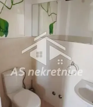 Rent, house, 270m², Jajinci, Voždovac Sve Podlokacije - image 26