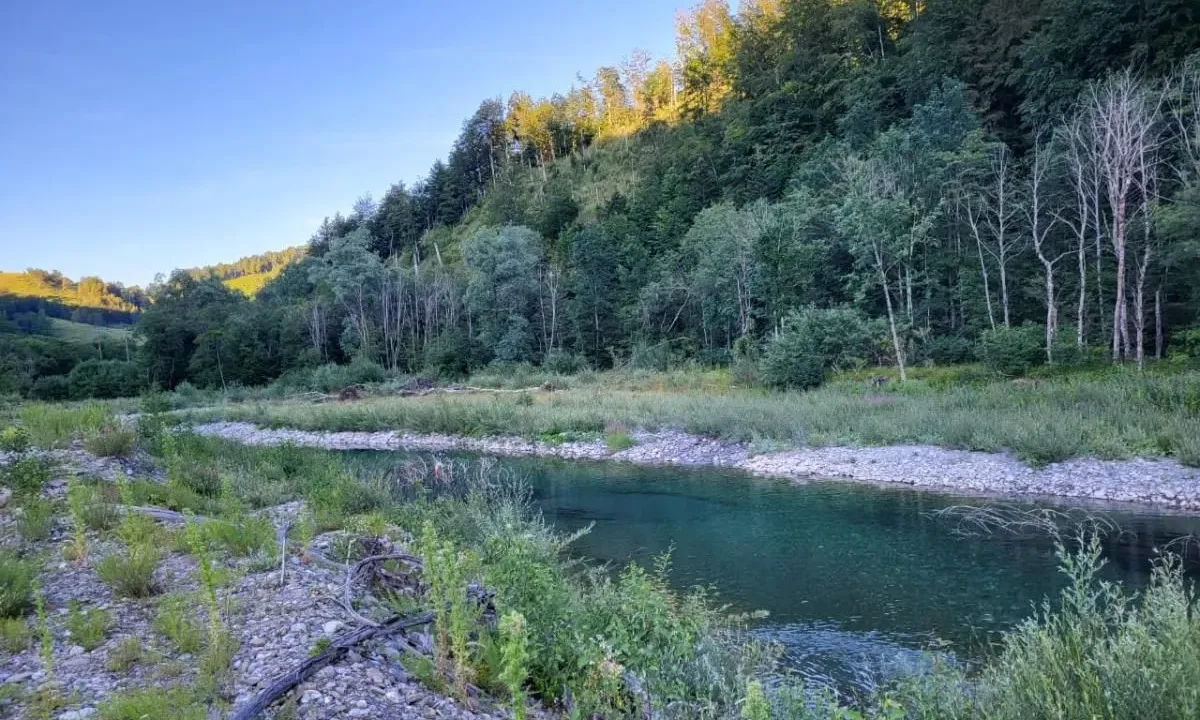 Prodaja, plac, 1600m², Jabuka, Kolašin
