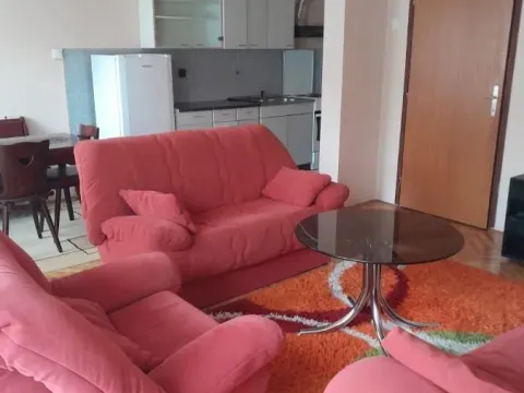 Izdavanje, jednosoban stan, 50m², Tavrića obori, Jagodina - image 1