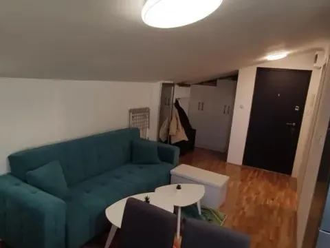 Izdavanje, stan, 23m², Žarkovo, Beograd - image 3