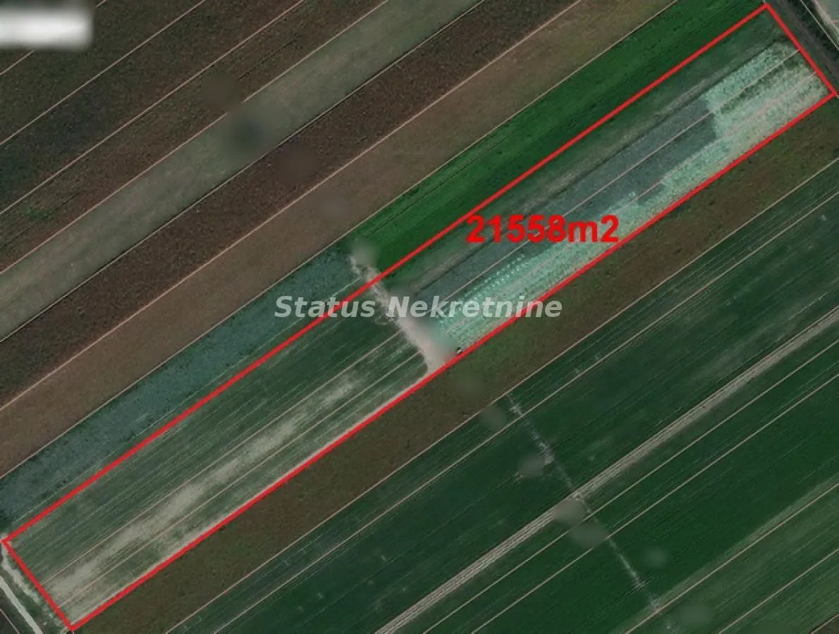 Prodaja, plac, 215m², Futog, Novi Sad Sve Podlokacije