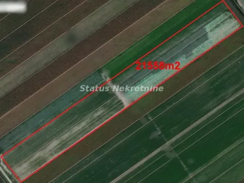 Sale, land lot, 215m², Futog, Novi Sad Sve Podlokacije - image 2