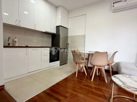 Izdavanje, jednosoban stan, 45m², Ljubović, Podgorica - image 4