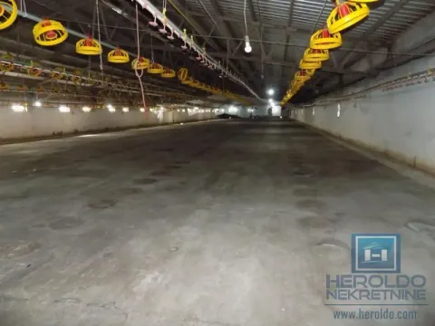 Sale, office space, 16723m², Boljevac, Srbija - image 23