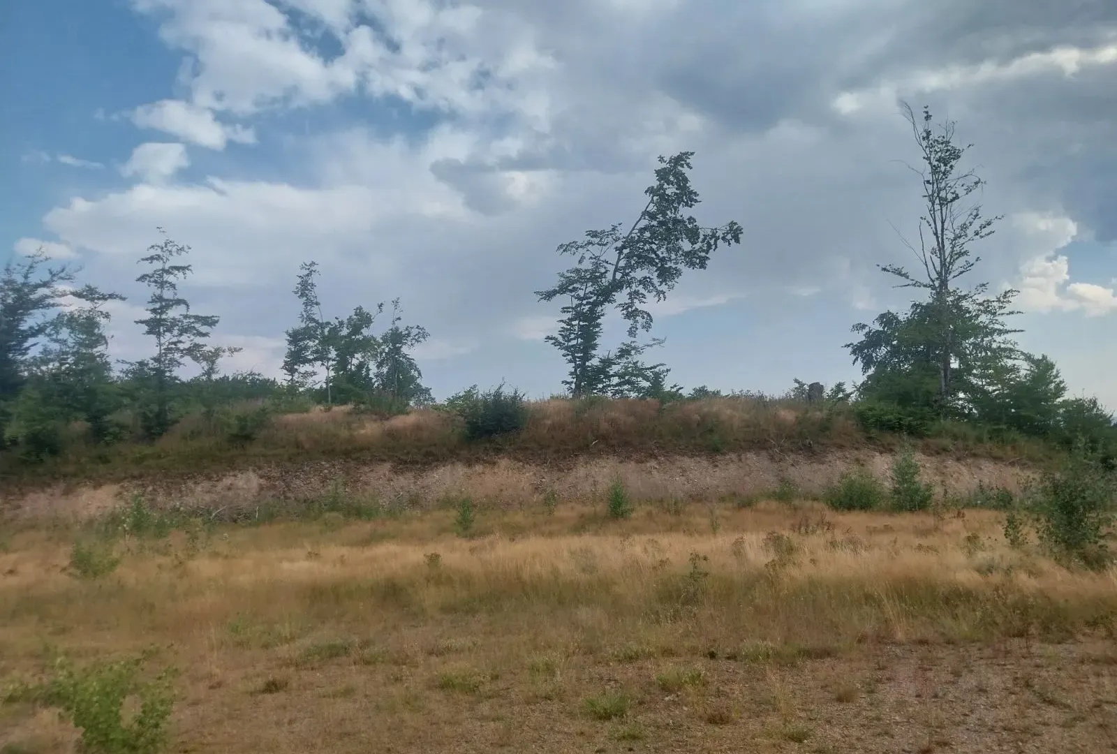 Prodaja, plac, 603m², Kolašin, Crna Gora