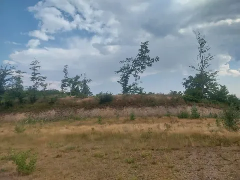 Prodaja, plac, 603m², Kolašin, Crna Gora - image 2