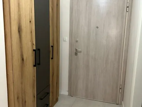 Izdavanje, jednosoban stan, 51m², Central Point, Podgorica - image 4