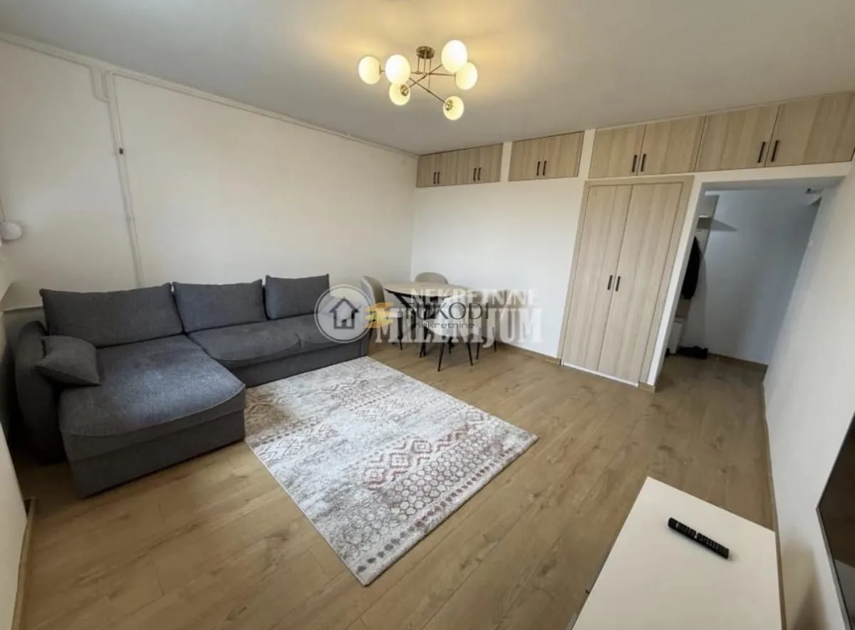 Rent, one bedroom apartment, 45m², Novi Beograd Blok 34, Novi Beograd Sve Podlokacije