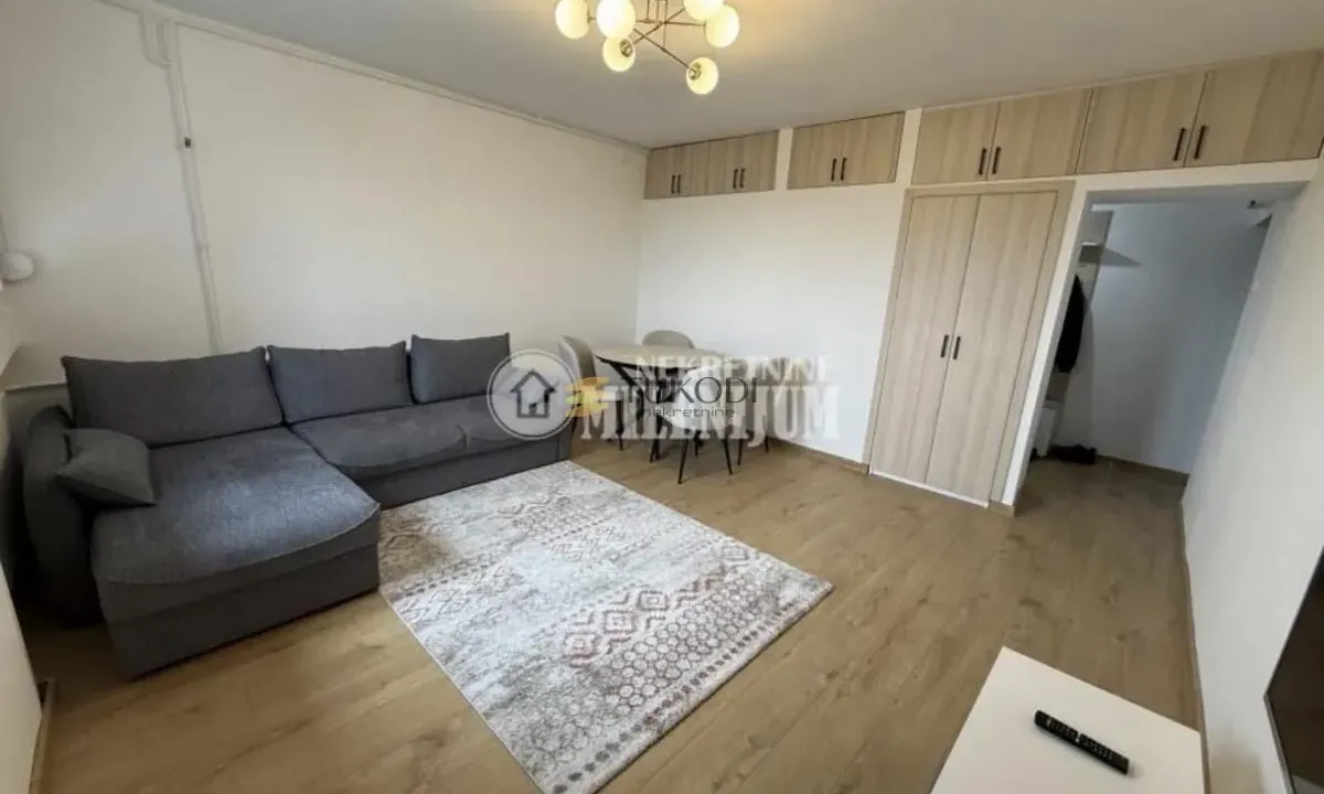 Rent, one bedroom apartment, 45m², Novi Beograd Blok 34, Novi Beograd Sve Podlokacije