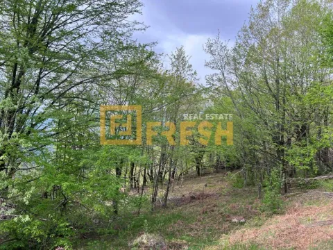 Prodaja, plac, 8000m², Kolašin, Crna Gora