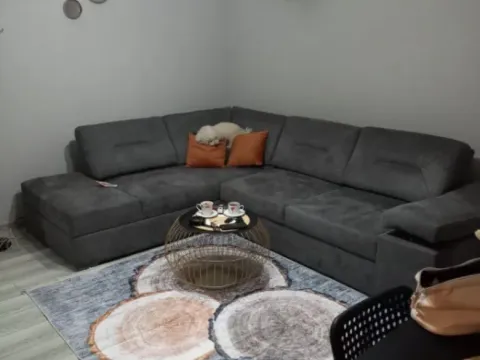 Izdavanje, jednosoban stan, 47m², Centar, Podgorica - image 5