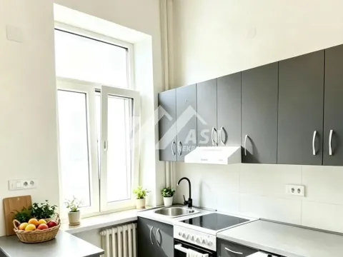 Izdavanje, jednosoban stan, 40m², Rotkvarija, Novi Sad Sve Podlokacije - image 4