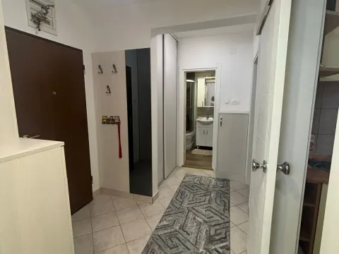 Izdavanje, jednosoban stan, 43m², Stari Aerodrom, Podgorica - image 11