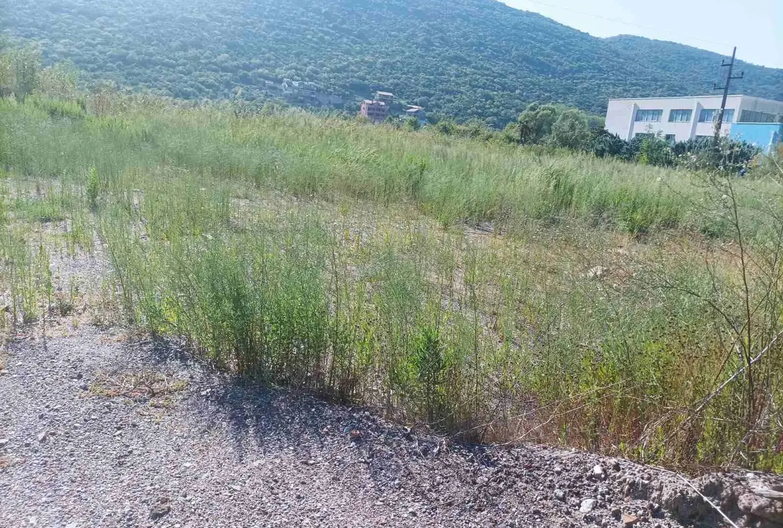 Prodaja, plac, 4400m², Kotor, Crna Gora