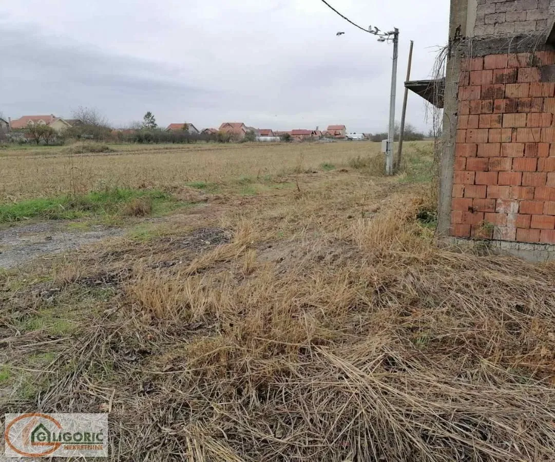 Prodaja, plac, 3000m², Borča 1, Borča Sve Podlokacije