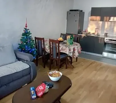 Rent, two bedroom apartment, 48m², Rotkvarija, Novi Sad Sve Podlokacije - image 6