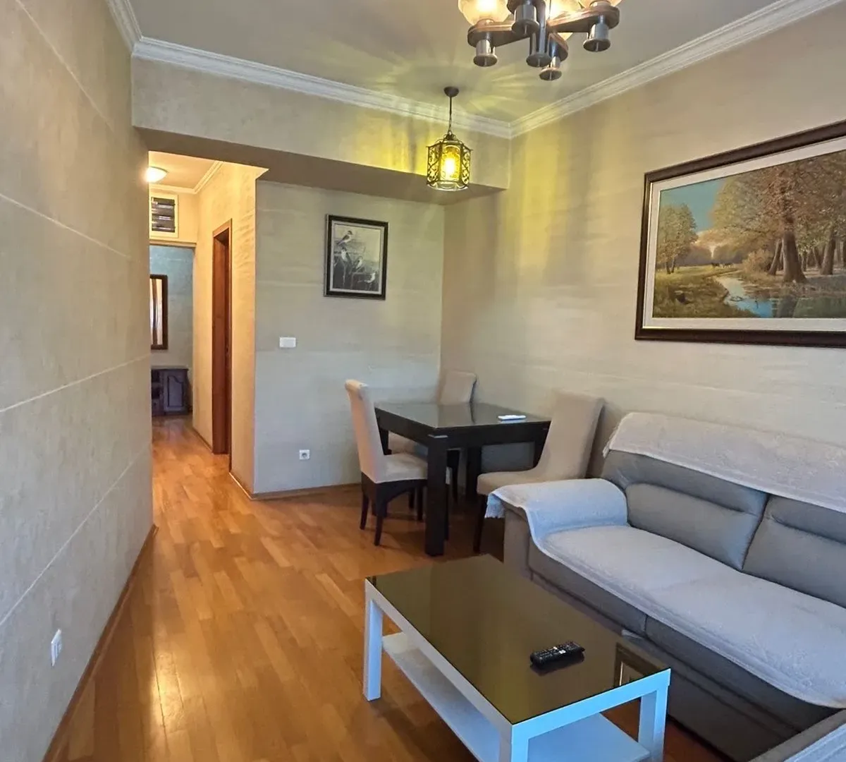 Rent, one bedroom apartment, 50m², Centar, Podgorica