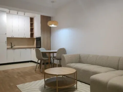 Izdavanje, jednosoban stan, 45m², Zabjelo, Podgorica - image 13