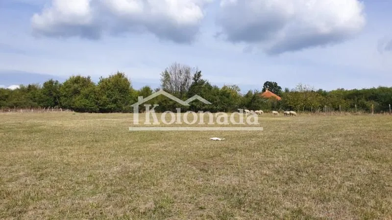 Sale, land lot, 8260m², Ropočevo, Sopot