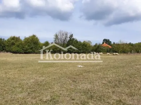 Prodaja, plac, 8260m², Ropočevo, Sopot - image 6