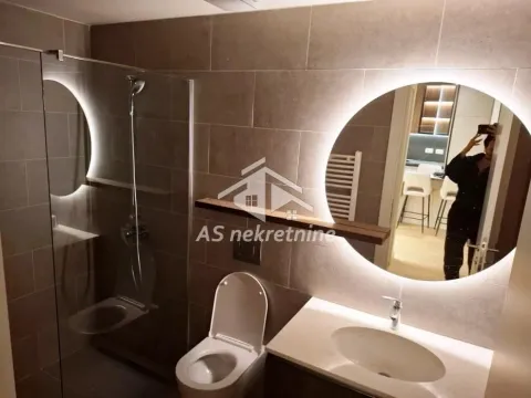 Izdavanje, dvosoban stan, 56m², Savski Venac, Beograd - image 13