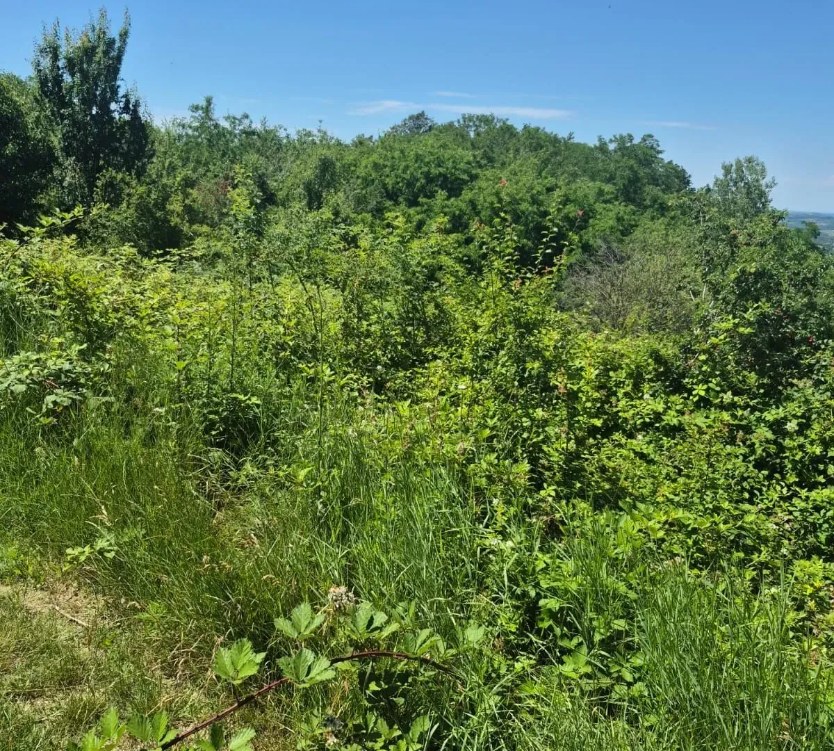 Sale, land lot, 11500m², Valjevo, Srbija