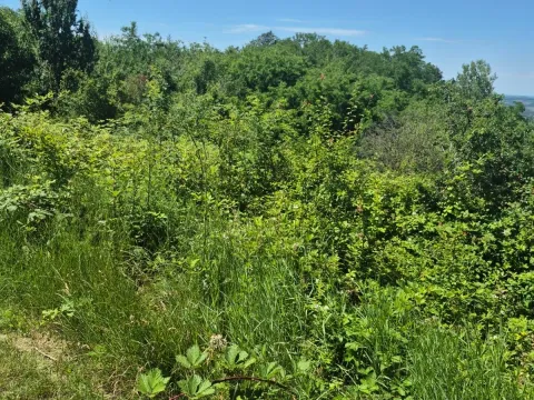 Sale, land lot, 11500m², Valjevo, Srbija - image 4