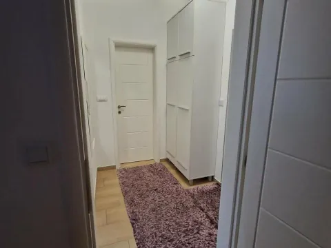 Rent, one bedroom apartment, 46m², Stari Aerodrom, Podgorica - image 3