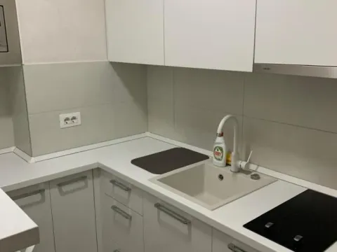 Izdavanje, dvosoban stan, 55m², Novi Beograd Blok 67, Novi Beograd Sve Podlokacije - image 7