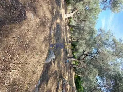 Prodaja, plac, 3500m², Bar, Crna Gora - image 4