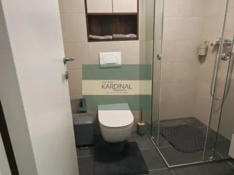 Izdavanje, jednosoban stan, 47m², Bubanj, Kragujevac - image 10
