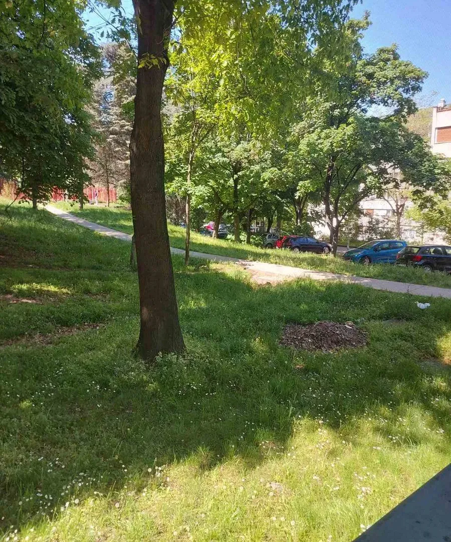 Sale, one bedroom apartment, 49m², Brace Jerković, Voždovac Sve Podlokacije